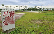 Đất nền thanh khoản suy yếu nhưng giá chưa giảm mạnh, vì sao?