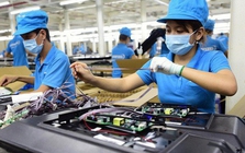 Phát triển kinh tế tư nhân: Lớn mạnh bằng thực lực, trưởng thành bằng công nghệ, cạnh tranh bằng năng suất, phát triển trên nền tảng niềm tin thể chế vững chắc