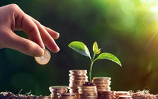 Điểm lại các doanh nghiệp lên kế hoạch trả cổ tức trên 100% mùa ĐHĐCĐ năm 2026