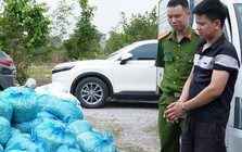 Đột kích xưởng sản xuất giá đỗ sử dụng chất cấm tại Quảng Ninh, thu giữ 4 tấn hàng