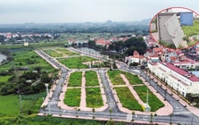 Đất đấu giá vùng ven Hà Nội từng gây 'sốt' trở thành nơi bỏ hoang, không bóng người!