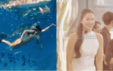 Ánh Viên hoá "tiểu tiên cá" xinh đẹp vẫy vùng giữa biển khơi, lên bờ lại là nàng thơ rạng rỡ vạn người mê