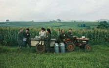 Doanh thu thuần Mộc Châu Milk đạt 741,6 tỷ đồng trong Quý I, kỳ vọng tăng trưởng năm 2026