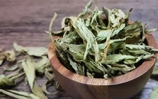 Loại lá khô ngọt gấp 300 lần đường mía nhưng lại không gây tăng đường huyết, tốt cho tim mạch: Việt Nam bán nhiều