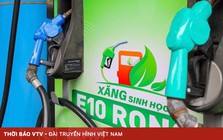 Đứng trước bước ngoặt xăng E10: Nới rộng chênh lệch giá và giải bài toán hao hụt bồn bể