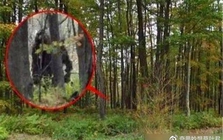 Loài thú lạ “đầu lừa, mình sói”, dài tới 2m bất ngờ tái xuất sau 500.000 năm: Sự thật quá bất ngờ!