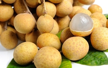 Loại quả bán đầy chợ Việt giá 15.000 đồng: Sang châu Âu hóa 'hàng hiệu' 600.000 đồng/kg, thu chục triệu USD