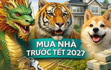Chuyên gia dự báo: Từ nay đến trước Tết 2027, 3 tuổi này dễ chốt mua nhà, tài chính dần ổn định hơn