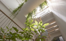 Ông bà dặn: Nhà có đủ 6 dấu hiệu này thì ai hỏi cũng đừng bán, càng ở càng tốt, con cháu hưởng lợi nhiều đời