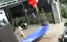 Một trưởng thôn bị đâm tử vong