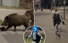 Robot hình người truy đuổi lợn rừng gây sốt mạng xã hội, phía sau là chiến dịch marketing gây tranh cãi toàn cầu