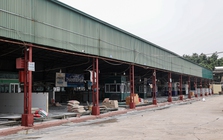 Cận cảnh lò mổ tuồn gần 300 tấn lợn bệnh vào trường học, chợ đầu mối ở Hà Nội