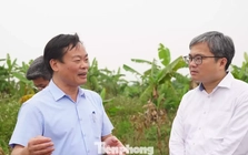 Lãnh đạo Hà Nội trực tiếp "vi hành", đề xuất chính sách đặc thù đẩy nhanh tiến độ cầu Tứ Liên