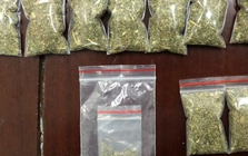 Bắt Nguyễn Minh Thư sinh năm 1977