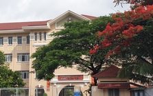 NÓNG: Nhiều trường học TPHCM cảnh báo khẩn lừa đảo suất "bao đậu", "tuyển thẳng" mùa tuyển sinh