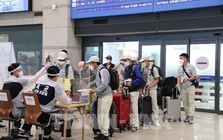 Lời khuyên cho những người sắp đi xuất khẩu lao động Hàn Quốc