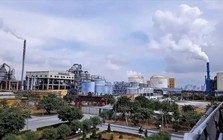 2 lãnh đạo một công ty phân bón 4.000 tỷ đồng loạt từ nhiệm trước thềm ĐHĐCĐ thường niên