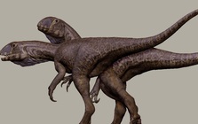 Quái vật 201 triệu tuổi "trỗi dậy" từ mỏ đá ở Mỹ