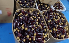 Đột kích đường dây sản xuất gia vị lẩu giả bán cho nhiều nhà hàng lớn: Tiêu thụ 6,5 triệu chai, tổng giá trị hơn 54 tỷ đồng