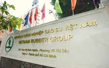 Một tập đoàn Nhà nước trả cho nhân sự trung bình 53 triệu đồng/tháng