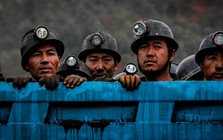 Chuyên gia phương Tây thừa nhận: "Chúng ta sai lầm rồi", phải sao chép Trung Quốc ngay thôi kẻo quá muộn