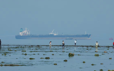 'Quả ngọt' về tay, mỗi ngày hơn 200 triệu USD rơi vào túi Nga: Một nước vừa mua dầu nhiều kỷ lục