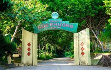 Khuyến cáo những ai tới Vườn Quốc gia Cúc Phương ngay lúc này