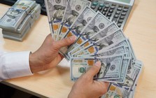 Người mua, bán ngoại tệ sẽ bị tịch thu số tiền nếu thực hiện hành vi sau