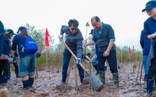 Panasonic Vietnam: Khi phát triển bền vững không phải đích đến mà là hành trình