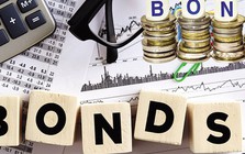 Vinhomes 'hút' 6.000 tỷ đồng từ kênh trái phiếu