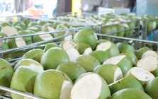 Dừa tươi tăng giá gấp 3 lần