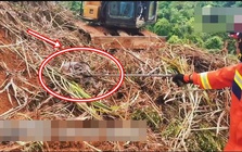 Đang dọn cỏ, người đàn ông lạnh gáy khi thấy "khối đen" ngọ nguậy: Lực lượng chức năng nhanh chóng có mặt