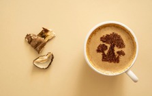 Lời khuyên dành cho những người hay uống cà phê