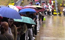 Tin rất vui: Đúng ngày 26/4, toàn bộ người dân Việt Nam được miễn phí một dịch vụ