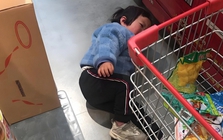 Cảnh tượng giữa siêu thị gây nhức nhối và bài học đắt giá về lời cảnh báo "Chiều con quá hóa hại con"