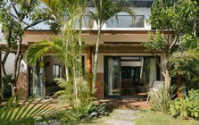 Gia đình đang trồng cau trước nhà cần biết điều này