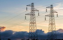 PC1, TV1, TV2, TV3 và loạt cổ phiếu ngành điện "có biến"