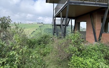 Chuyên gia nêu lý do đất nền phân lô bán cắt lỗ vẫn không có người mua