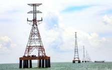 Hơn 22,5 triệu cổ phiếu PC1 dư bán giá sàn