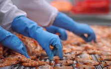 Việt Nam làm chủ công nghệ có thể gia tăng sức mạnh cho ngành xuất khẩu tỷ USD