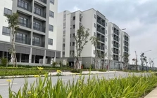 Hà Nội mở bán căn hộ NƠXH giá dưới 1 tỷ đồng/căn