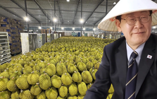 Loại quả của Việt Nam khiến Tổng thống Hàn Quốc ăn không ngừng, xuýt xoa khen ngon - Xuất khẩu sang xứ sở kim chi tăng khủng 300%