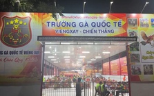 Trường gà 1.200 tỷ: Hé lộ đường dây vận hành tinh vi, kéo con bạc Việt sang Lào