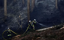 Cháy rừng tại Nhật Bản khiến 3.000 người sơ tán, lính cứu hỏa căng mình dập lửa