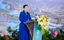 TGĐ Vinhomes tiết lộ đặc quyền gói vé tháng đường sắt Hà Nội – Hạ Long khoảng 5 triệu đồng