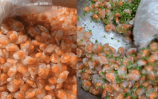 Đến Phan Thiết ăn hải sản là chuyện thường, thèm món này mới là dân sành: Bánh nhỏ xíu, mắm sền sệt như mật, ăn một lần là mê mẩn