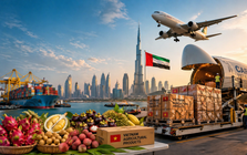 Lần đầu tiên siêu tập đoàn 8 tỷ USD thuê máy bay chở 100 tấn rau quả Việt, tin cực vui cho doanh nghiệp xuất khẩu sang Trung Đông