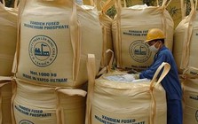 Phân lân Văn Điển bị nhắc nhở vì chậm công bố liên quan BCTC quý I/2026