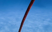 Thả một sợi cáp dài 10 km xuống đáy biển, các nhà khoa học phát hiện 56.000 tín hiệu lạ chỉ trong 21 ngày