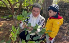 "Ông hoàng nhạc Việt" U60 gà trống nuôi con trai 7 tuổi: "Ba sẽ cố hết sức, lần này sẽ khác"